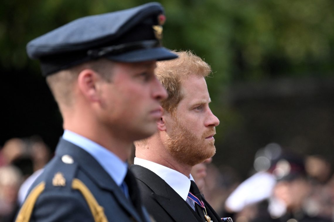 Prince Harry and William feud &lsquo;gone on long enough&rsquo; as senior royal to